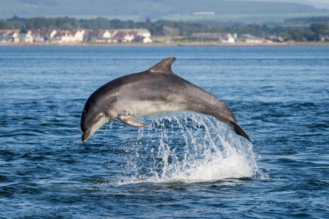 Jomarnic B&B Lossiemouth ภายนอก รูปภาพ